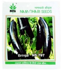 Brinjal NS 797